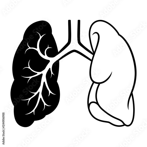 Drawing of both lungs and trachea