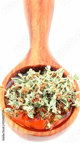 Dried Herbs Infused in Oil ...