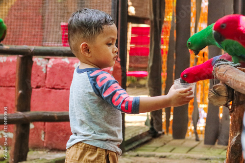 Fotografie Asian little girl feeding birds on a hand in the park.