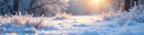 Frosty morning scene with snow-covered ground, frost, serene