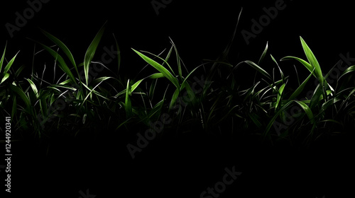 Green Grass Blades Reach Up...