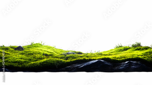 Lush Green Moss Covers Rock...