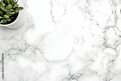 Green Plant Sits on a White...
