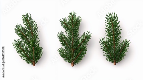 Three Green Fir Sprigs On White Background