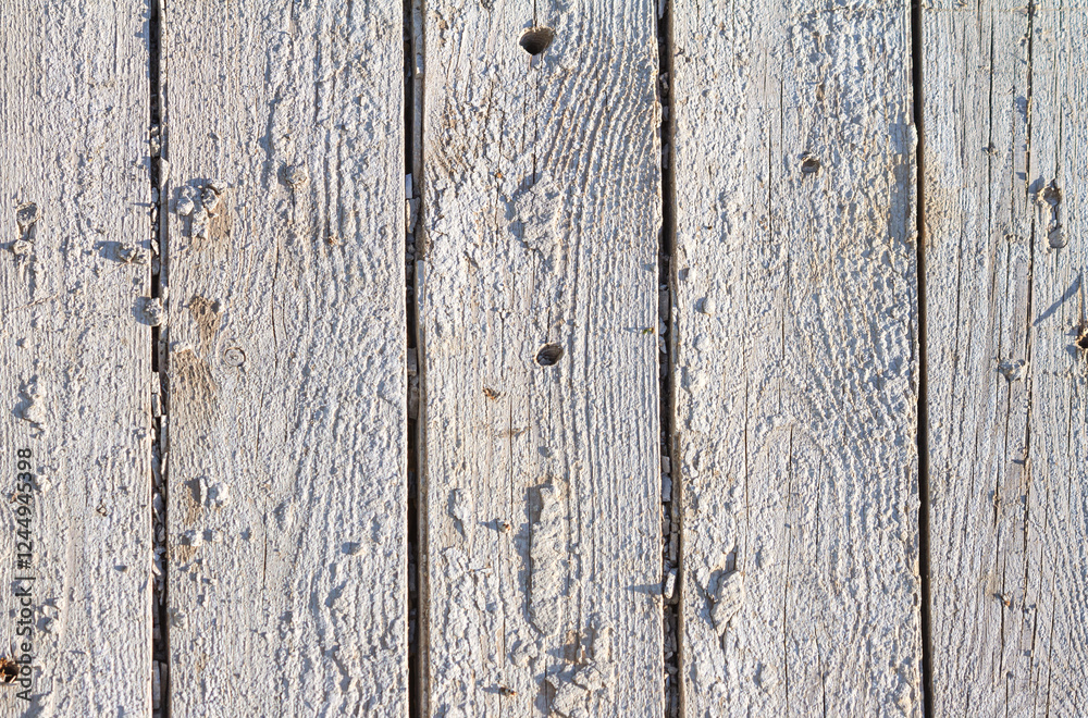 Wooden light background. Old white painted fence in good condition. Solid wooden wall from weathered boards. Barn wood wall