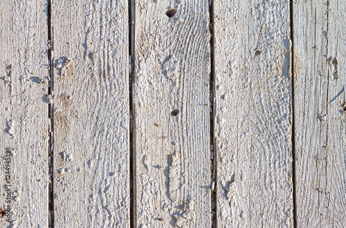 Obraz na płótnie Wooden light background. Old white painted fence in good condition. Solid wooden wall from weathered boards. Barn wood wall w salonie
