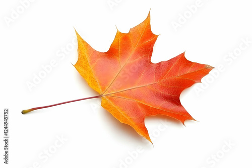 Vibrant Autumn Maple Leaf I...