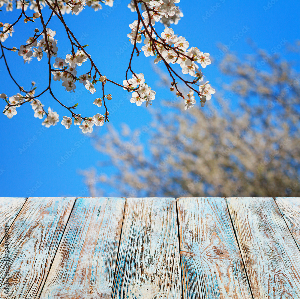 Empty of wood table top against the background of a plum blossom tree branch and a spring garden, selective focus, close up with space for text