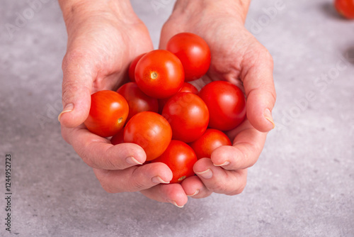 Obraz na płótnie Freshly harvested tomatoes in hands. Woman holding cherry tomatoes, closeup with selective focus w salonie