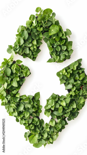 Green Leaves Form a Cross S...