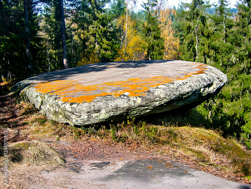 Large Flat Rock Covered wit...