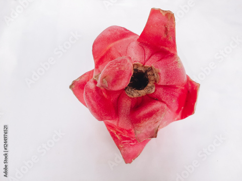 Red dragon fruit. fresh dragon fruit, isolated on white background photo