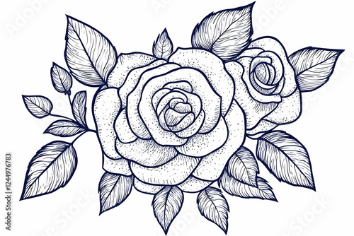 Detailed Illustration of Tw...