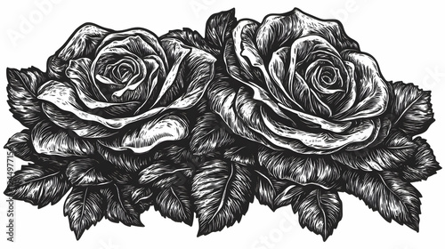 Two Detailed Roses Bloom Be...