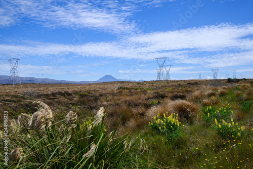Obraz na płótnie Power pylons and power lines with wild yellow lupin flowers along Desert Road, Mt Ngauruhoe in the distance. Tongariro National Park. New Zealand. w salonie