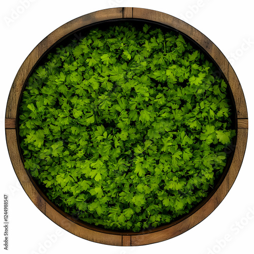 Fresh Parsley Fills a Round...