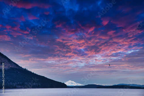 Mount Baker, Washington, USA as viewed from Cherry Point Nature Park, BC, Canada.