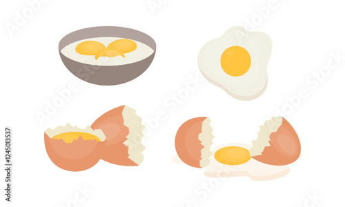 Egg sets in various forms raw, boiled and fried. Organic agricultural products. Ingredients for breakfast