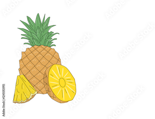 Set of pineapple fruits. Pineapple vector. Pineapple exotic tropical fruit as name Ananas comosus. Whole pineapple with leaves and pineapple slices and a half. 