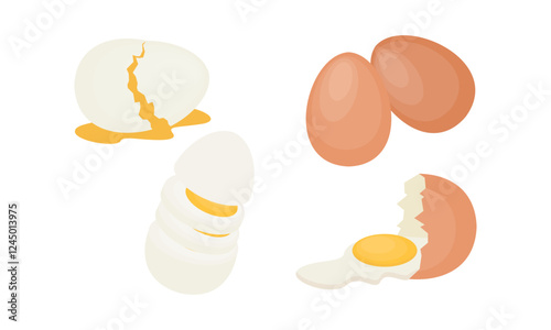 Egg sets in various forms raw, boiled and fried. Organic agricultural products. Ingredients for breakfast