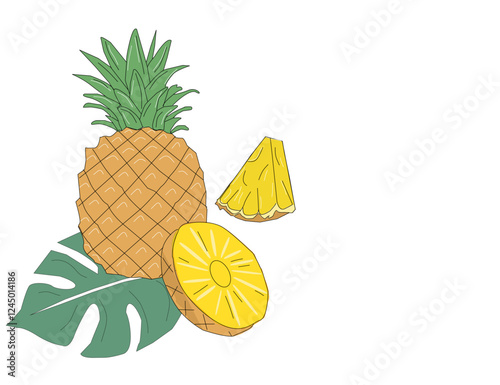 Set of pineapple fruits. Pineapple vector. Pineapple exotic tropical fruit as name Ananas comosus. Whole pineapple with leaves and pineapple slices and a half. 