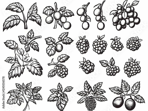 Hand-Drawn Berry Illustrati...
