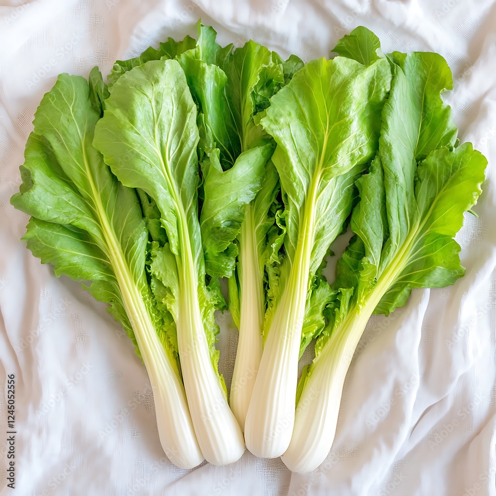 Fresh Bok Choy on White Fabric, Kitchen Setting Fresh Bok Choy on White Fabric, Kitchen Setting