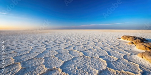 Barren Rann of Kutch landscape with white salt flats and rocky outcrops under desert sun, rann of kutch, desolate terrain photo