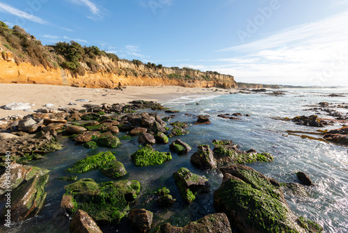 Cliffs, beach, and sea at Mitchell Rocks photo