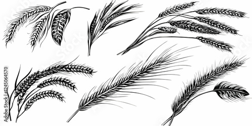 Detailed Wheat Stalks and L...