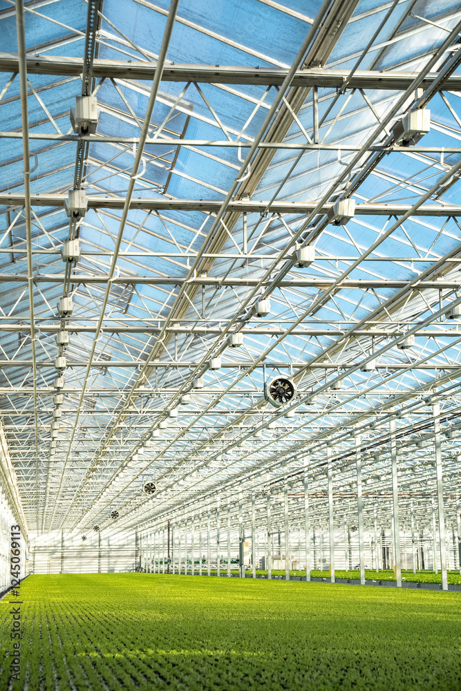 Fototapeta premium Lettuce in modern greenhouse with automated irrigation, climate control. Precise watering, humidity maintenance for optimal crop health, efficient agriculture technology, sustainable farming