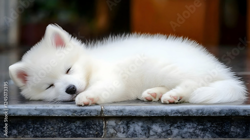 Adorable White Puppy Sleeps...