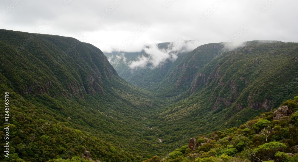 Obraz premium Misty Mountain Valley: A Breathtaking View