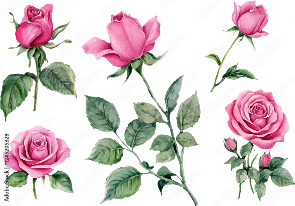 set of pink roses