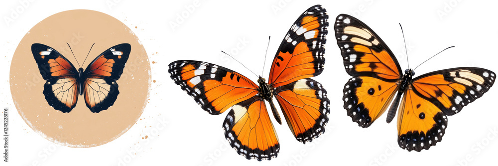 Fototapeta premium Colorful Orange Butterflies with Delicate Patterns and Background