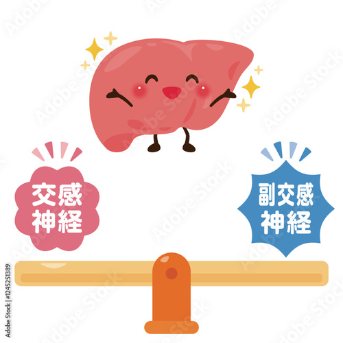 バランスの取れた自律神経と健康的な肝臓のキャラクターイラスト