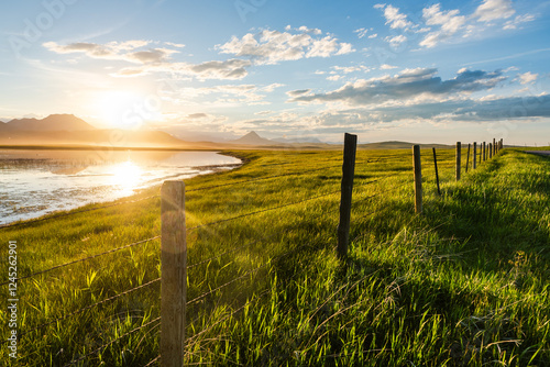 Fence Near Pond In Cattle Field