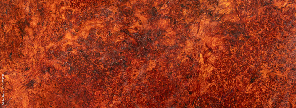 Obraz premium Natural Afzelia burl wood stripe is a wooden pattern