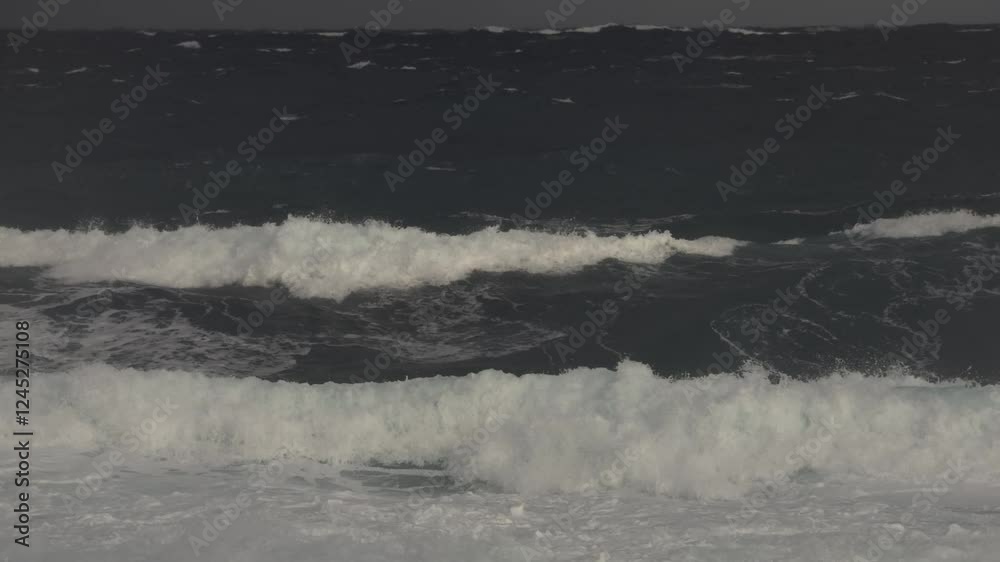 奄美大島の自然, 冬の海 奄美大島の自然, 冬の海