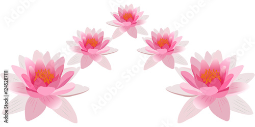 lotus flower vector design for vesak day eps 2