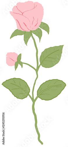 single pink rose