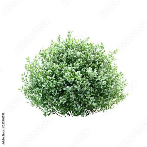 Fluffy 3D Cartoon Bush Isolated on Transparent Background