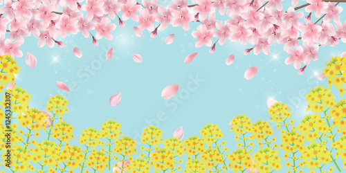 桜　春　菜の花　背景　