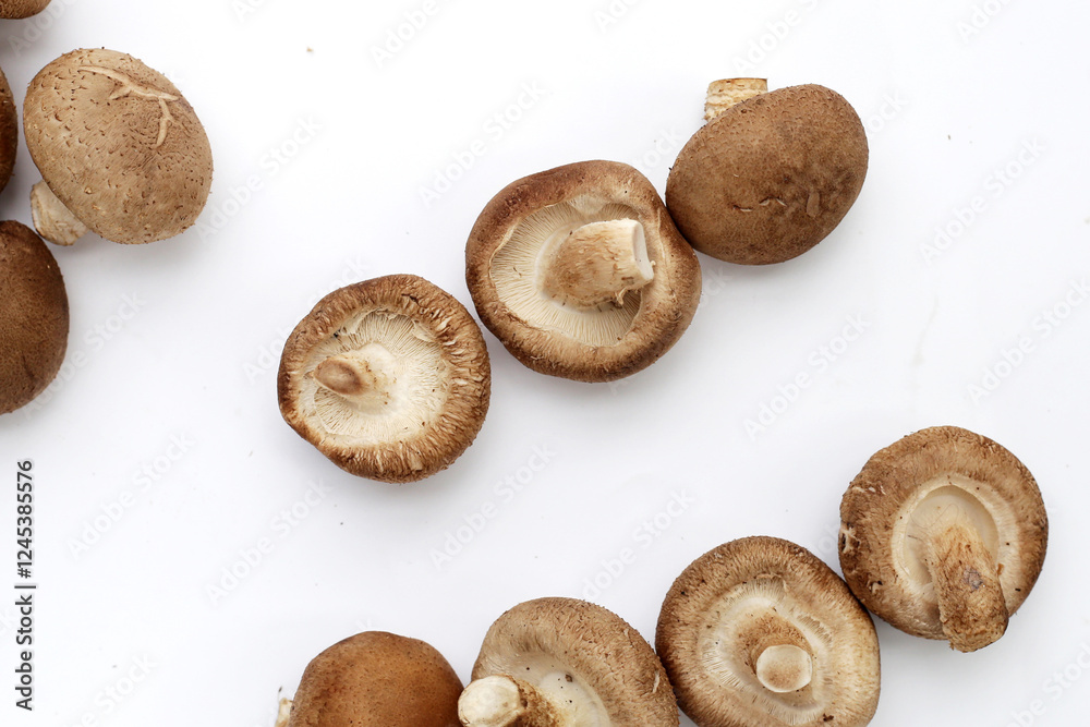 Fresh shiitake mushrooms on white background. Fresh shiitake mushrooms on white background.