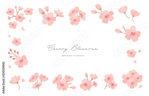 桜の花の手描きイラストセット
