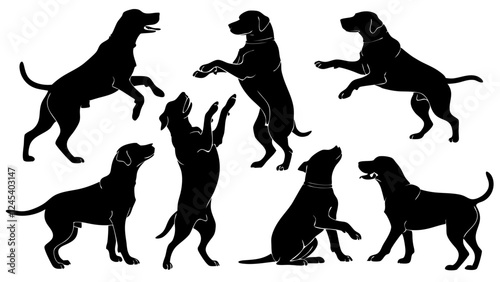 silhouettes of dogs vector