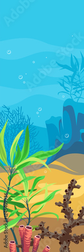 Vector ocean world. Exotic seascape with seaweeds and corals. Aquatic ecosystem. Illustration of underwater life. Undersea bottom.
