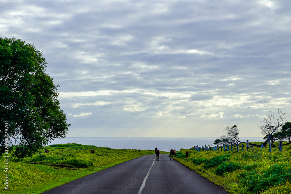 Fototapeta premium Roads of Rapa Nui, Easter Island Chile