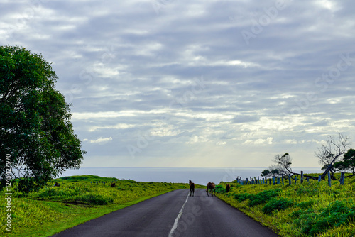 Roads of Rapa Nui, Easter Island Chile photo