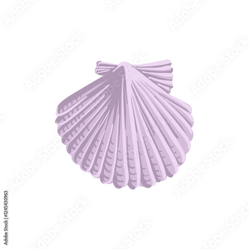 vector drawing sea shell, scalop, seashell isolated at white background, hand drawn illustration